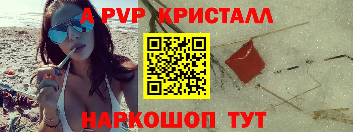 Alfa_PVP СК КРИС Гудермес