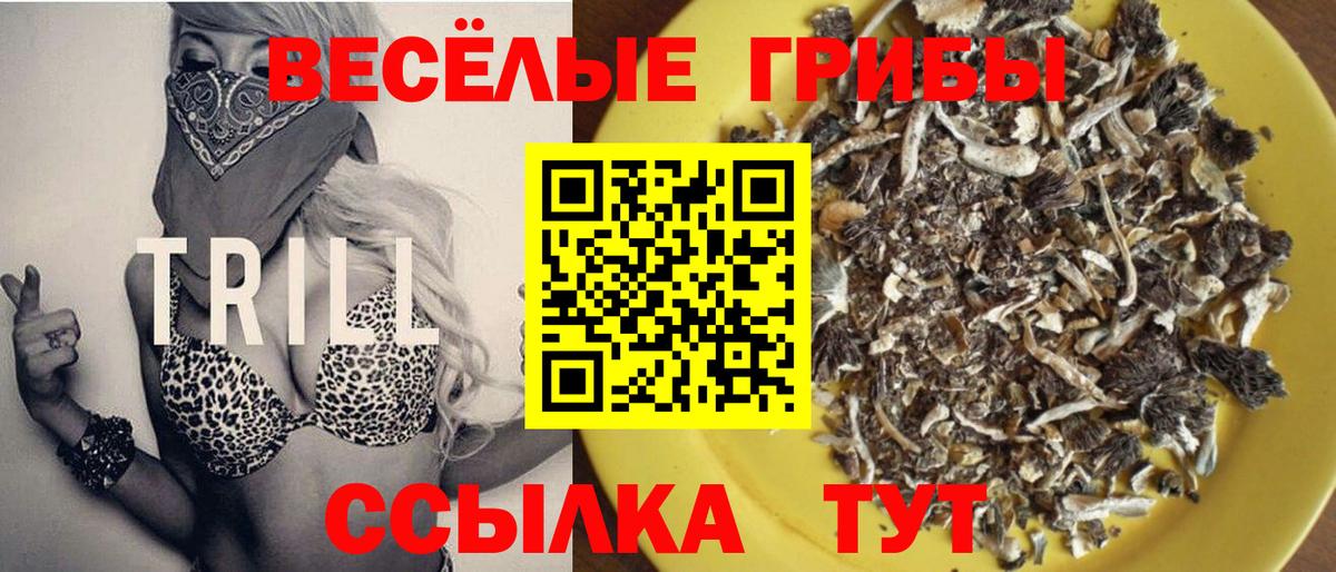 Галлюциногенные грибы мицелий  Псилоцибиновые грибы MAGIC MUSHROOMS  Вход с VPN  Гудермес 